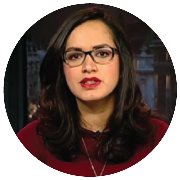 Niam Rana Hear The Voices Of Visa Waiver Discrimination – NIAC